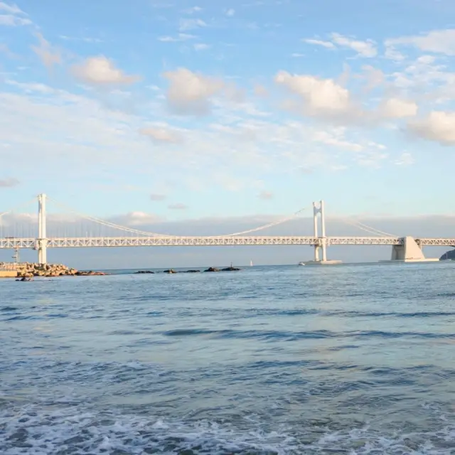 初めての釜山旅行で恋に落ちる。