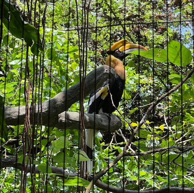 台灣最大的動物園 — 臺北市立動物園🐾