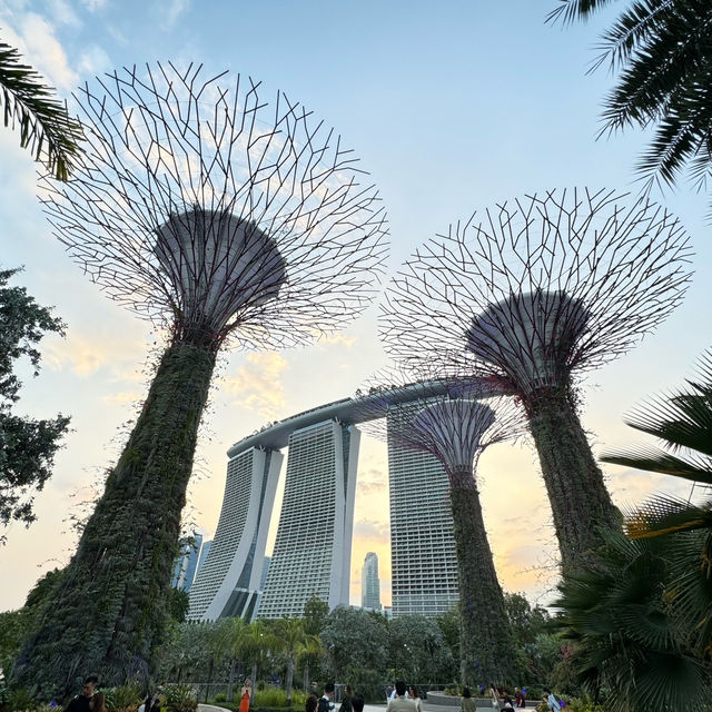  Marina Bay Sands