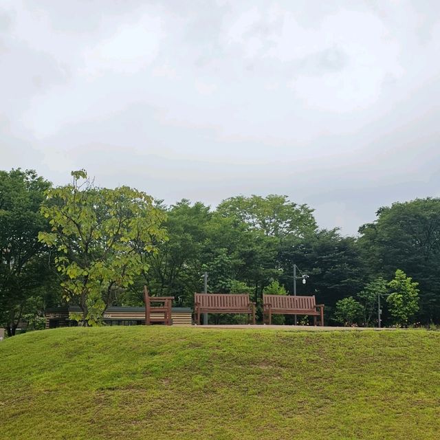 김수현도 다녀간 일월수목원