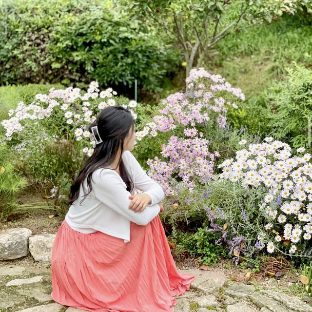 귀여운 댕댕이+조식 조합 충주숙소💛