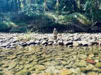Bamboo Rafting & Sea Turtle in Khao Lak, Phuket 