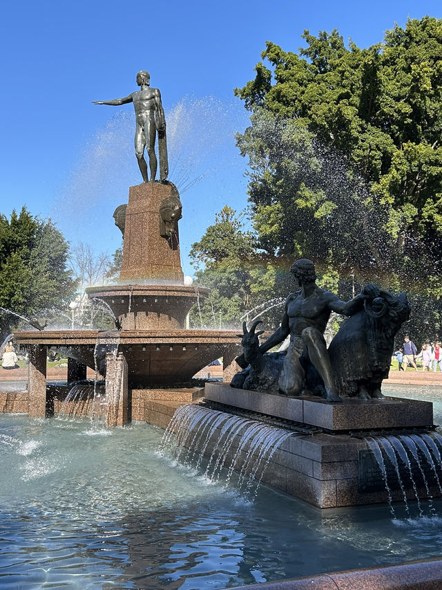 호주 시드니 “아치볼드 분수”⛲️