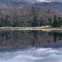 Rewarding sights at Shiretoko Five Lakes morning walk late autumn