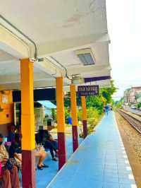One Day Trip ตลาดพลู