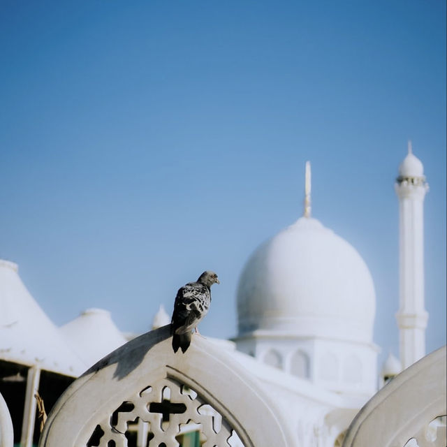 Dargah Hazratbal: Srinagar’s Sacred Sanctuary on Dal Lake 🕌✨