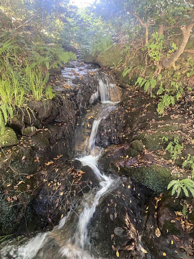 【石川観光】神聖な山岳信仰の地「白山比咩神社」⛩️