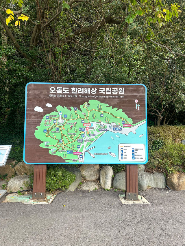 여수 가면 꼭 가봐야 할 힐링 여행지 ‘오동도’