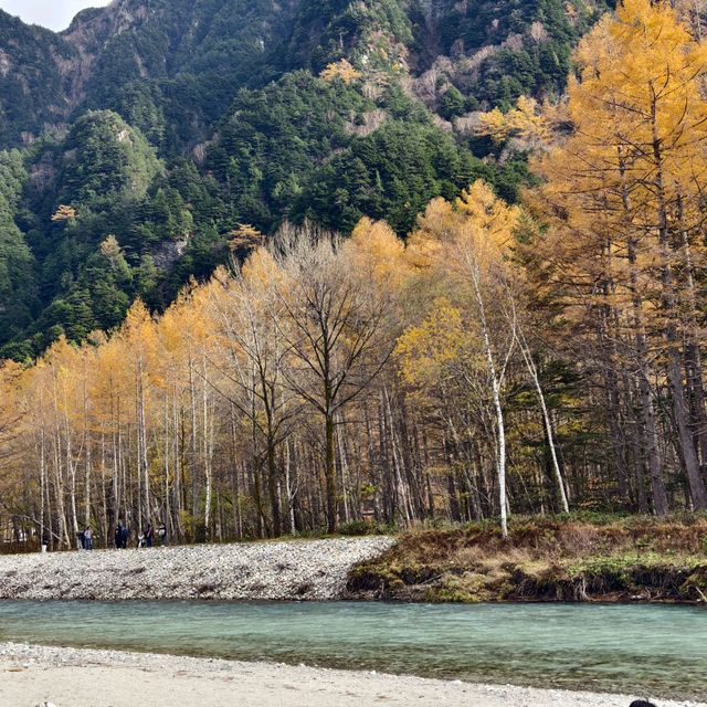 คามิโคจิ Kamikochi - Japan Alps