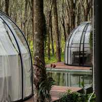 คาเฟ่ ภูเก็ต