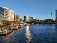 ล่องเรือ ชม Sydney Opera House and Sydney City
