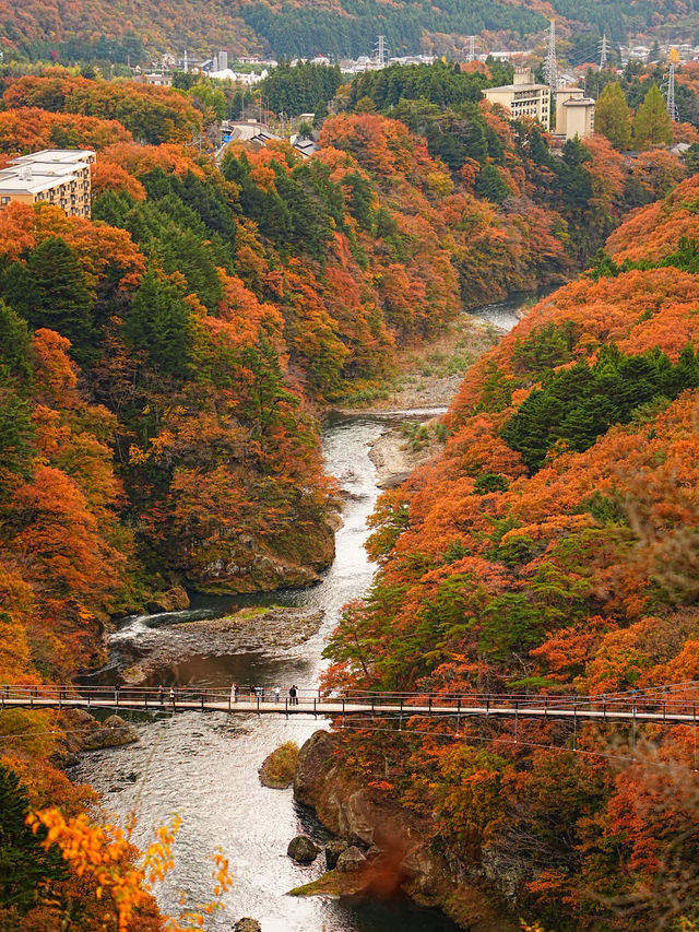 【栃木/鬼怒川】絶景！温泉だけじゃない鬼怒川の魅力