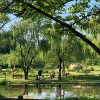榜鵝水道公園：靜謐隱藏天地 🌿🏞️
