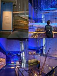 Guangdong Museum ชมวัฒนธรรม และประวัติศาสตร์