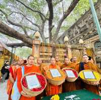 ຖວາຍທານທີ່ຕົ້ນພຣະສີມະຫາໂພ