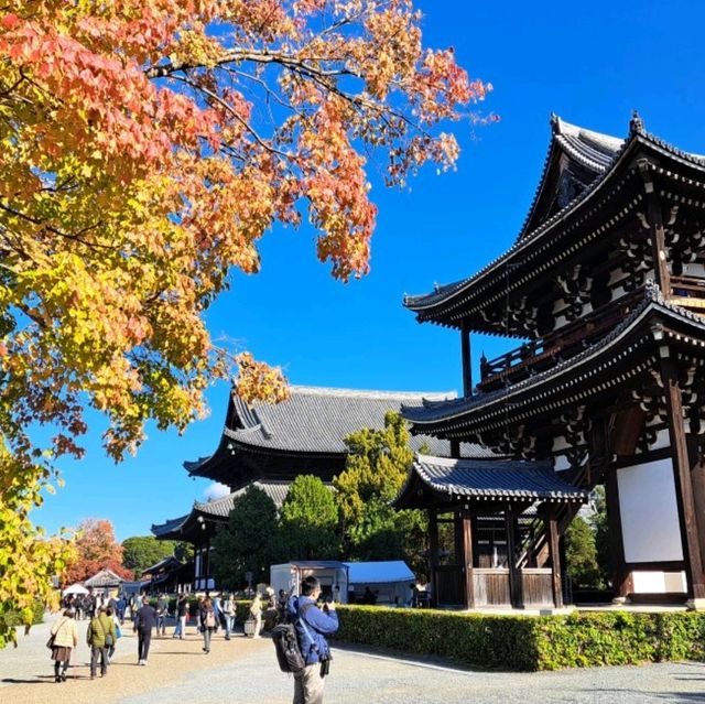 【東福寺:京都市東山区】1236 年創建の仏教寺院で紅葉の名所🍁