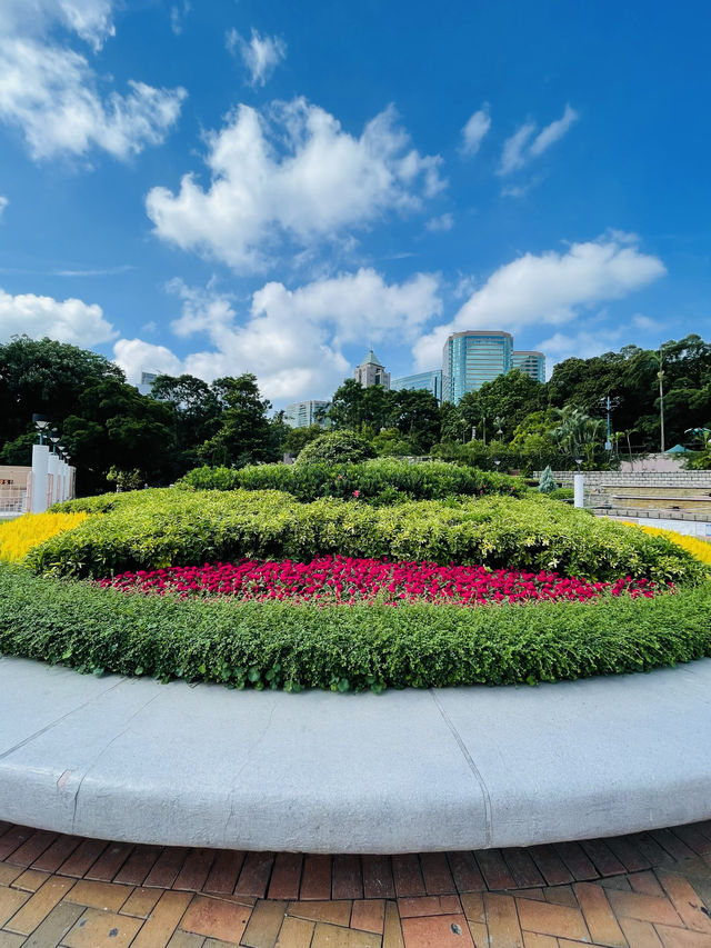 香港観光🇭🇰都会のオアシス🌿 九龍公園🦩✨