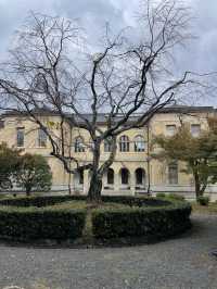 京都観光🥰素晴らしい歴史的建造物建物🏛️ 京都府庁 旧本館✨