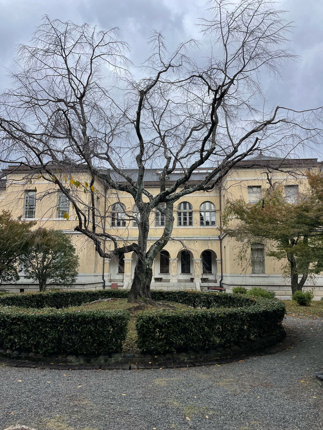 京都観光🥰素晴らしい歴史的建造物建物🏛️ 京都府庁 旧本館✨