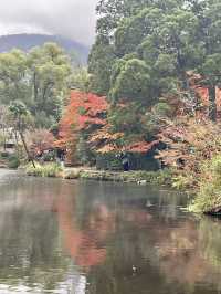 【湯布院】湯布院といえばココ✨神秘的な湖✨