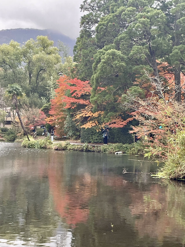 【湯布院】湯布院といえばココ✨神秘的な湖✨