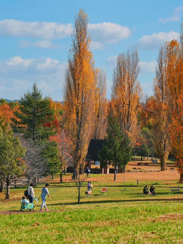 景點推薦：山田池公園——秋日賞紅葉的秘境