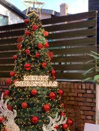 크리스마스 트리를 볼 수 있는 부산 여행지!🎄