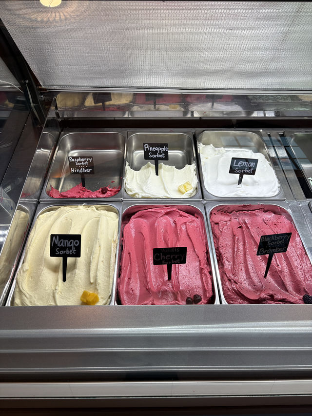 <레이캬비크> 추운 겨울에도 아이스크림이 땡길 때 ‘valdis'🍦🍦