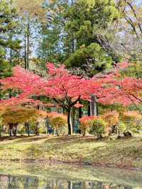 虎溪山永保寺-日式庭園寺廟配搭絕美紅葉，讓人看得如痴如醉