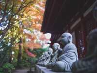 【都内の紅葉】今がまさに見頃！高尾山の紅葉散歩