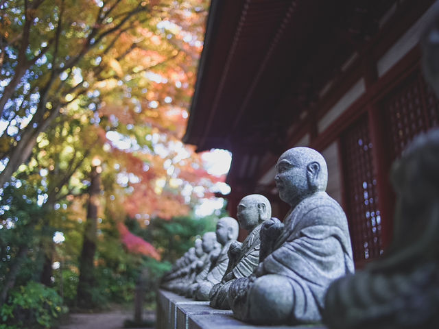 【都内の紅葉】今がまさに見頃！高尾山の紅葉散歩