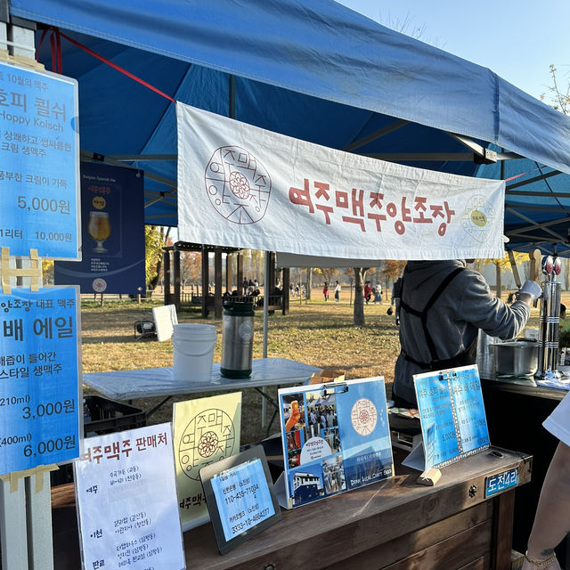 노란 은행나무의 힐링 명소 여주 강천섬🌼