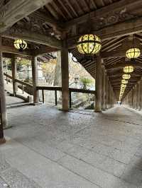 【奈良　長谷寺】