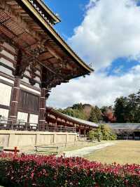 【東大寺大仏殿】