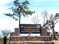 Silent night Holly Night: A Magical Christmas Adventure in Phu Kradueng