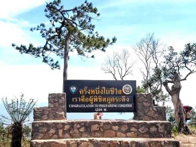 Silent night Holly Night: A Magical Christmas Adventure in Phu Kradueng