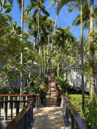Surin Phuket: A Secluded Paradise on the Island’s Stunning Coastline