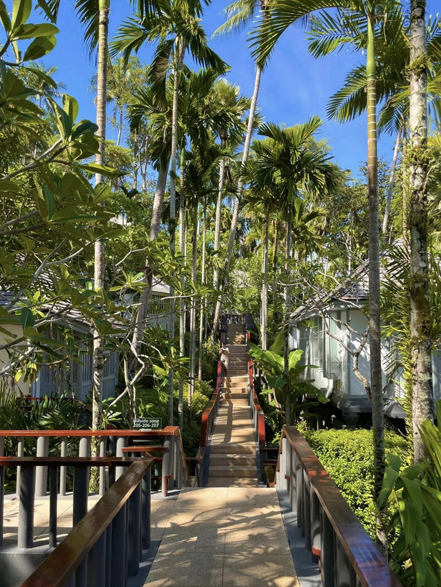 Surin Phuket: A Secluded Paradise on the Island’s Stunning Coastline
