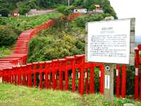 【山口県】世界が認めた絶景！123基の鳥居が並ぶ「元乃隅神社」
