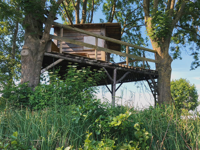 Giethoorn / #Netherlands 荷蘭旅遊 划進童話裡 羊角村讓人一秒就愛上