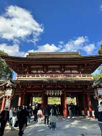 学問の神の総本宮  朱塗りの楼門、太鼓橋、3年限定「浮かぶ森」