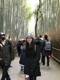 Arashiyama Kyoto🎍🇯🇵