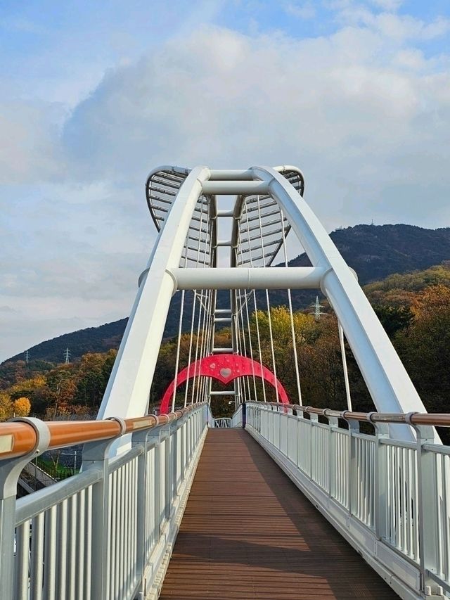 탁 트인, 높은 곳에서 보는 대구 전경 