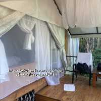 พาไปนอนฟังเสียงน้ำตกที่ริมธาร จ.เชียงใหม่