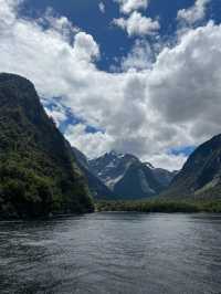 Milford Sound 🛳️ ล่องเรือดูวิวหุบเขาสุดอลังการ 