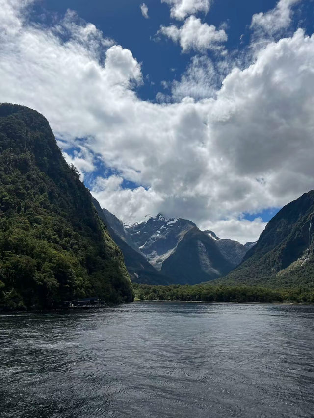 Milford Sound 🛳️ ล่องเรือดูวิวหุบเขาสุดอลังการ 
