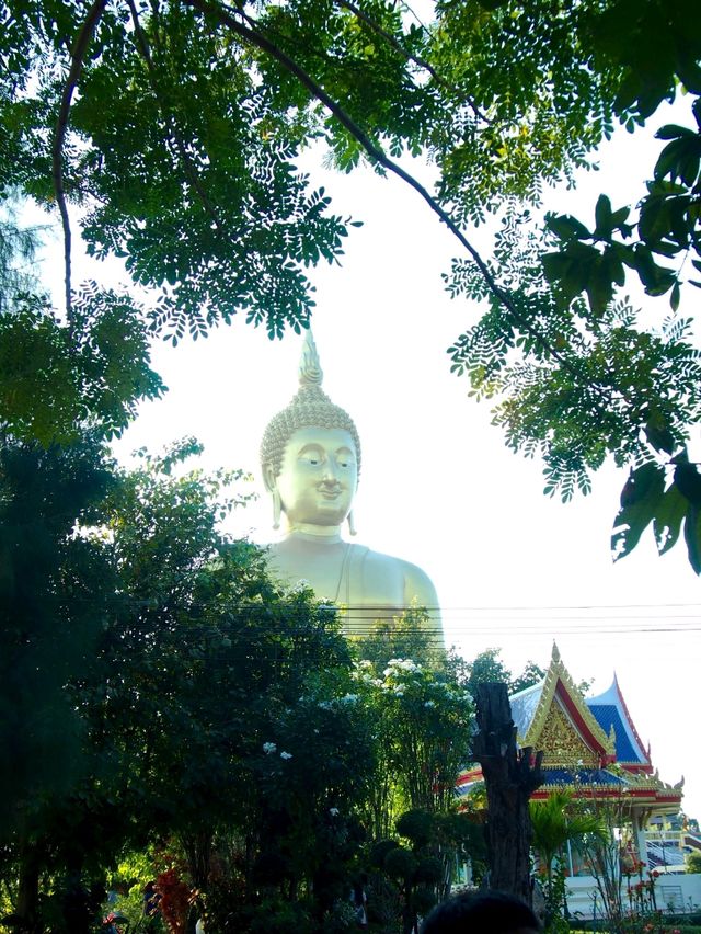 วัดม่วง จ.อ่างทอง