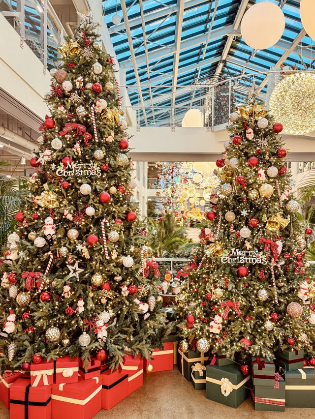 Forest Outings Songdo Branch 🌟🎄