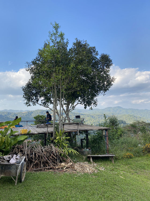 ฤดูหนาวที่ดูเลเล | จ.เชียงใหม่ 🏡⛰️🌿🔥