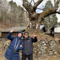 長野縣輕井澤超級靈驗的神社⛩️